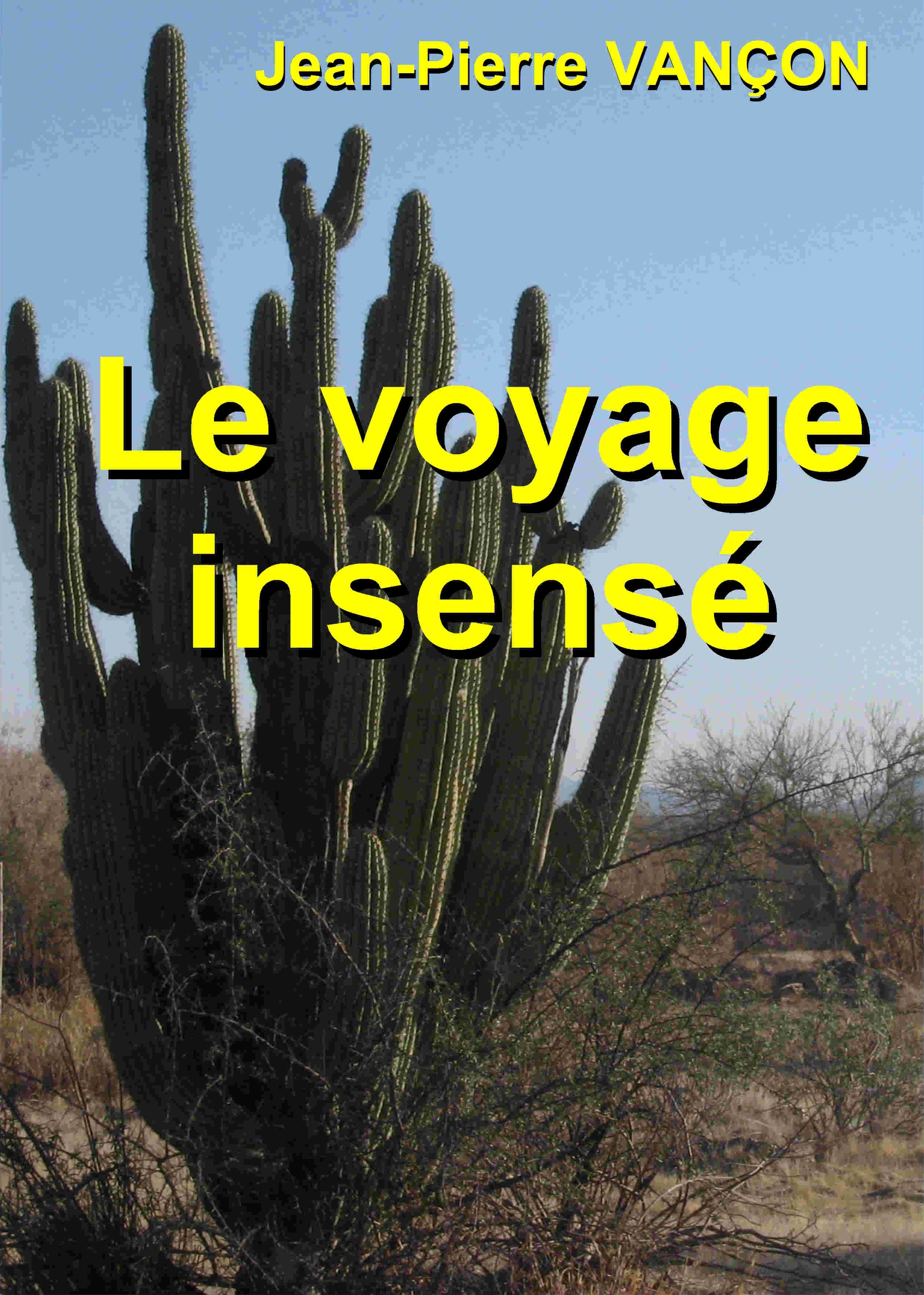 LE VOYAGE INSENSÉ